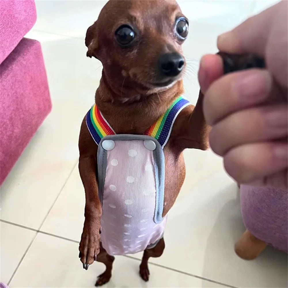 Washable Puppy Dog Diapers Female Pet Physiological Pants for Small Medium Dogs Chihuahua Pinscher Shorts Panties Cat Underpants