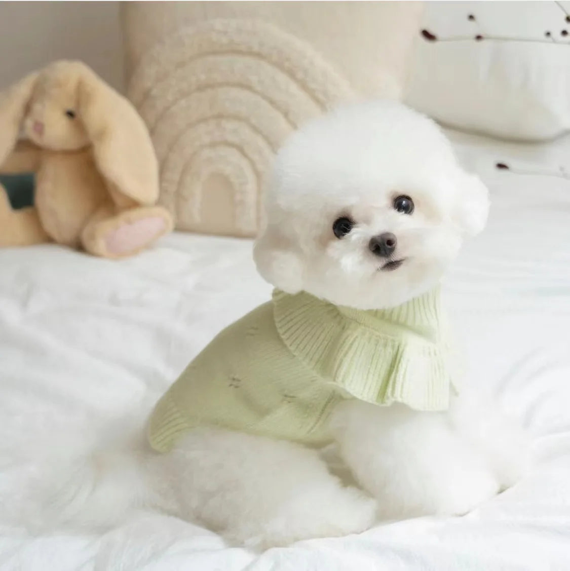 Luxury Pet Dog Cashmere Lotus Collar Knit Soft Wool Undercoat Cat Sweater Dog Clothes for Small Dogs Dog Winter Clothes Sweater