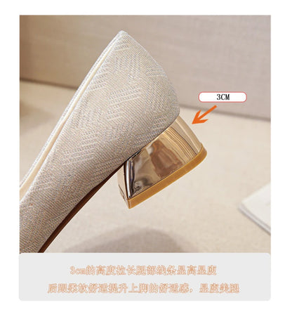 Womens Light Blue Glitter Pointed Toe Block Heel Pumps With Gold Square Buckle Detail Metallic Heel Elegant Dress Shoes Ladies