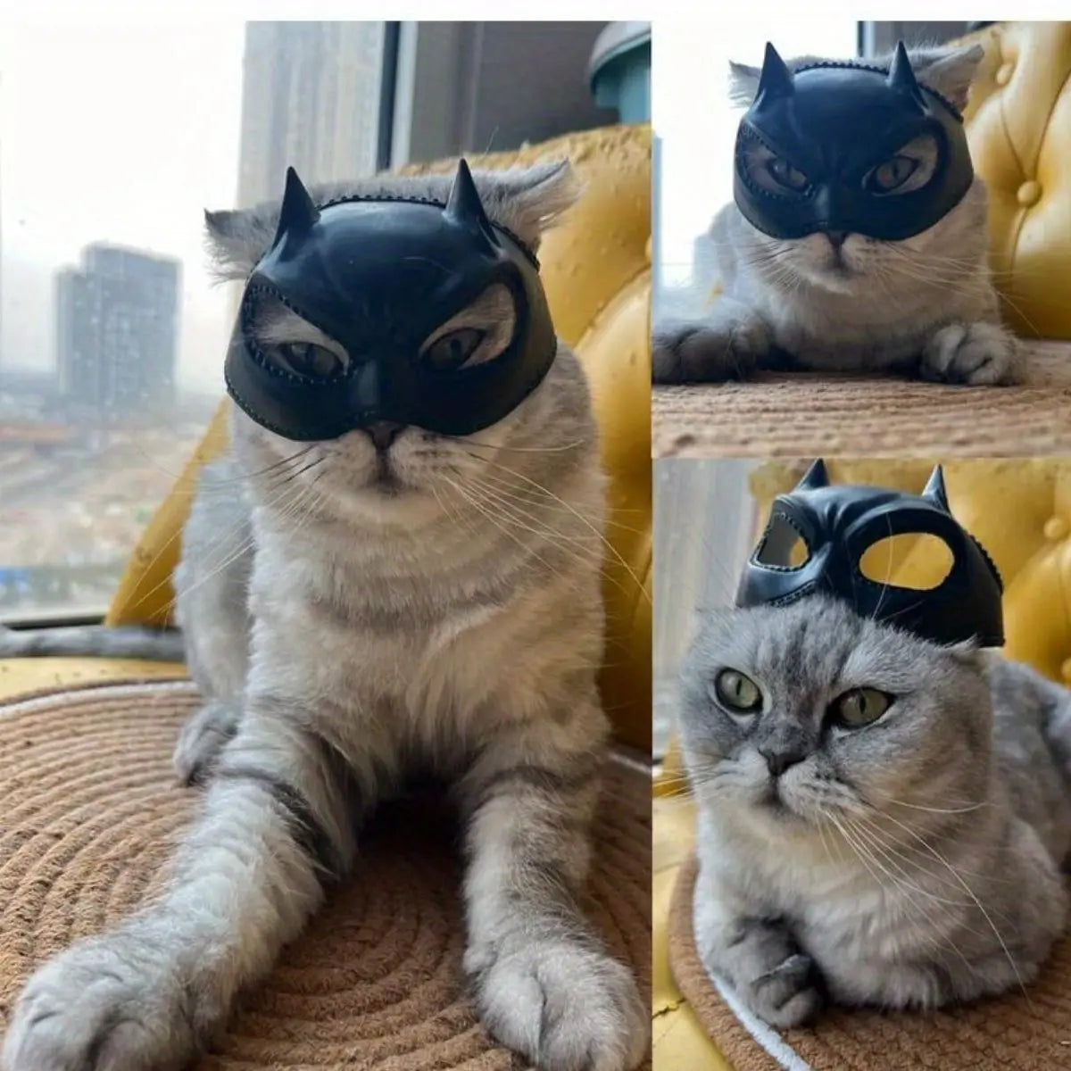 Cat Bat Mask Feline Role-play Headpiece Latex Material Soft and Form-fitting Pet Costume Accessory Whimsical and Adorable Cat