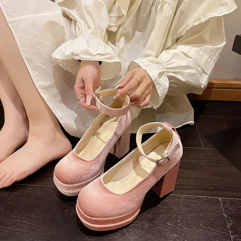 Platform Mary Janes Shoes Women Suede Luxury High Heel Lace Up Trend Lolita Shoes Elegant Chunky Party Pumps Zapatos De Mujer