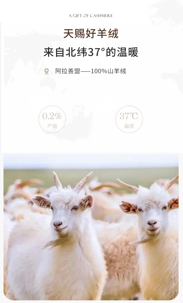 Autumn and Winter New Women's Sweater 100% Pure Cashmere High Collar Hoodie Knitted Basic Style Hot Selling Women's Top