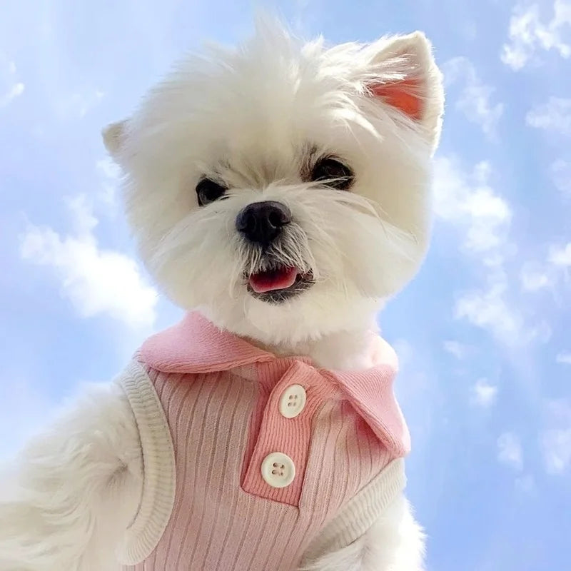 Summer Pet Dog Polo Shirt Breathable Dog Clothes Fashion Puppy Vest Cute Solid Cat Shirt Soft Pet Costumes Chihuahua Dog Clothes