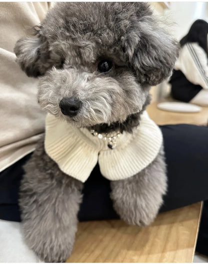 Luxury Pet Dog Cashmere Lotus Collar Knit Soft Wool Undercoat Cat Sweater Dog Clothes for Small Dogs Dog Winter Clothes Sweater
