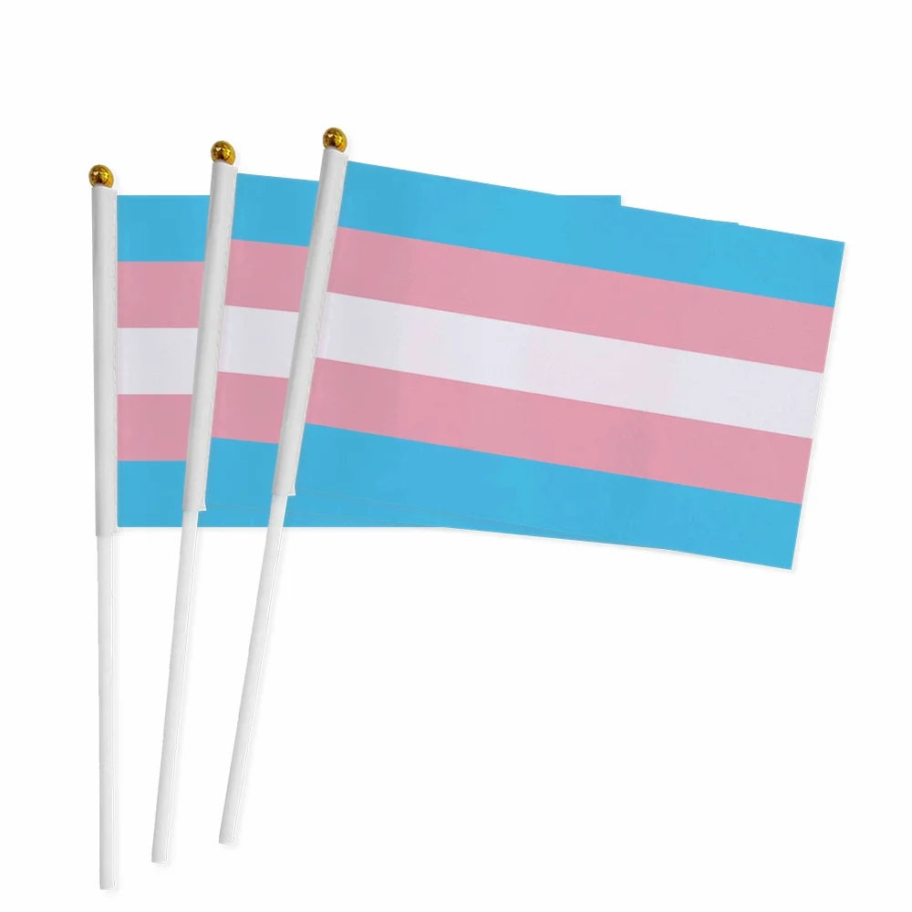 Hand Flag 100pcs 14x21cm Dream SMP Flag Gay Lesbian Homosexual Bisexual LGBT Pride Flag Customized Rainbow Hand Flag