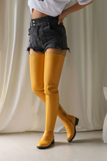 Winter New Plus Size 48 Women's Over The Knee Boots Thick Heel Long Tube Boots Platform Shoes