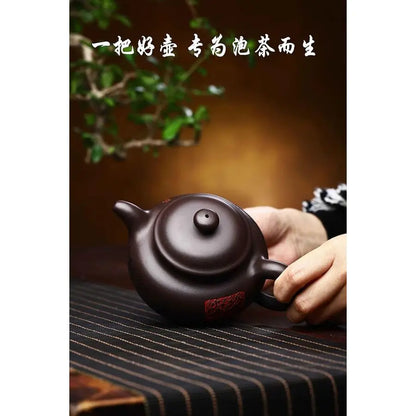 Zisha Teapot, Chinese Yixing Purple Clay Tea Pot 310cc,Chinese Kungfu Brew Infuser Loose Leaf Tea