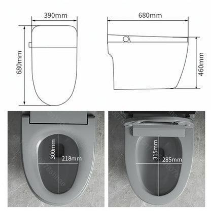 Smart Toilet Intelligent Bidet Seat with Heated Seat Foam Shield Automatic Lid  Self-Cleaning No Water Pressure Limit One Piece