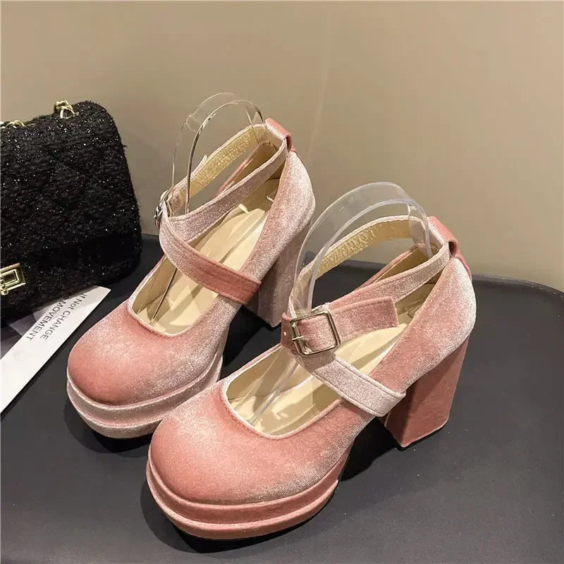 Platform Mary Janes Shoes Women Suede Luxury High Heel Lace Up Trend Lolita Shoes Elegant Chunky Party Pumps Zapatos De Mujer