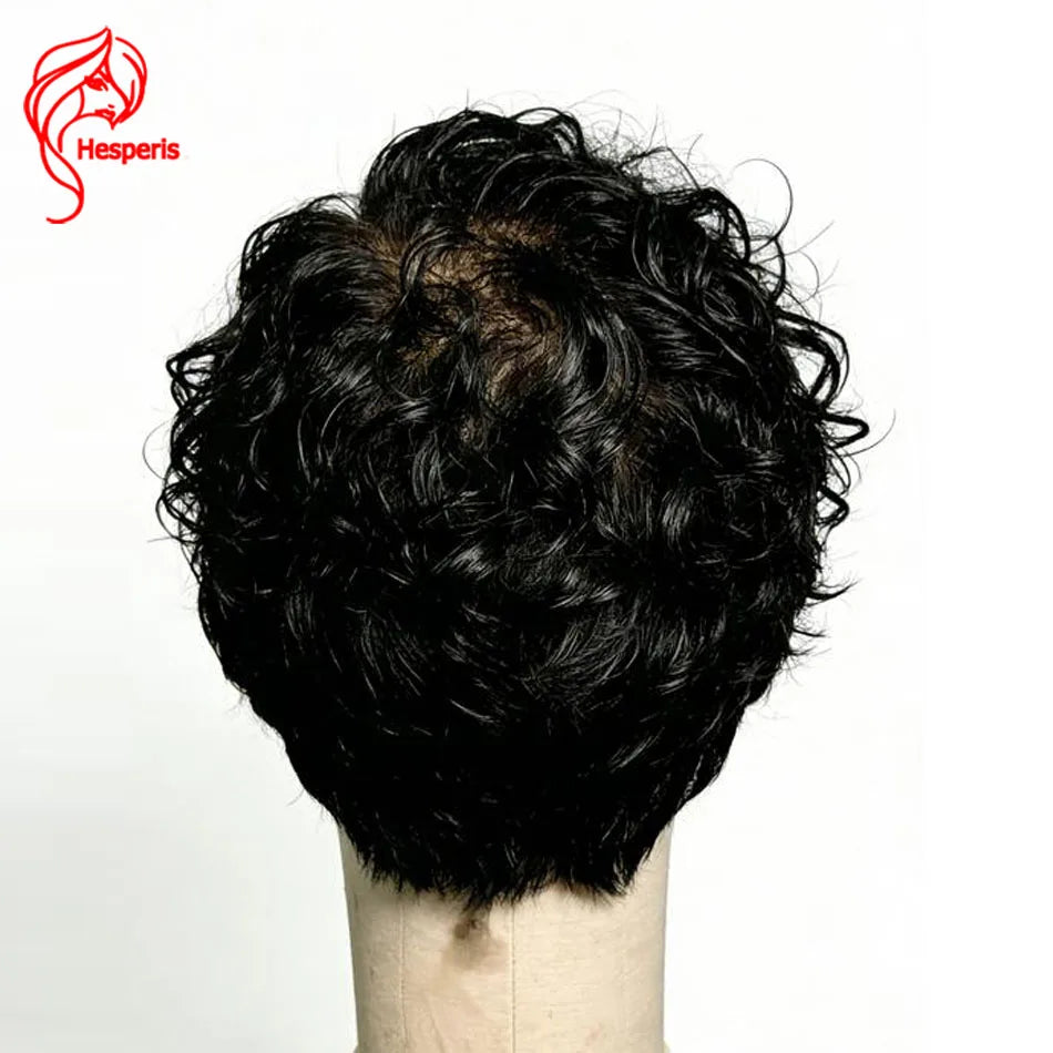 Hesperis Male Lace Front Curly Wig 13x6 Short Cut Human Hair Male Wigs Natural Color Pre-Styled Remy Hair Boy's Wig For Men