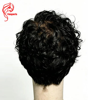 Hesperis Male Lace Front Curly Wig 13x6 Short Cut Human Hair Male Wigs Natural Color Pre-Styled Remy Hair Boy's Wig For Men
