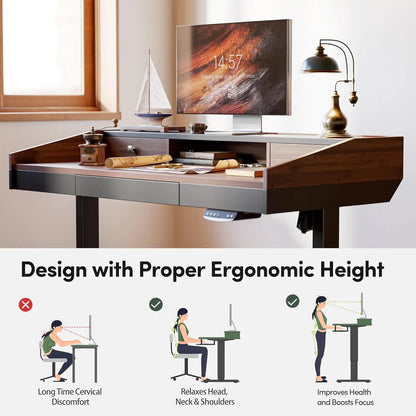 48 x 24 inches Electric Stand Up Desk with Monitor Shelf,48" Whole-Piece Standing Desk Adjustable Height with, Customized