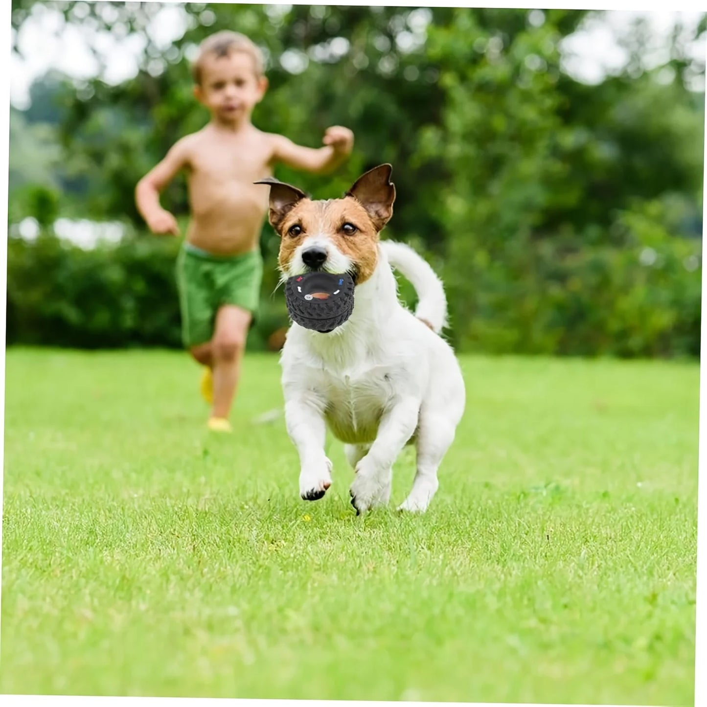 1pc Durable Dog Chew Wheel Toy Chew-Resistant Interactive Sound Teeth Training Supplies Suitable for Puppies Small Medium Dogs