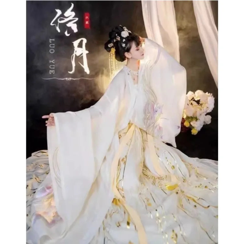 Vintage Party Fairy Dress Print Ethnic Style Stage Hanfu Dress Cosplay Costumes Traditional Chinese Clothing for Women Clothes