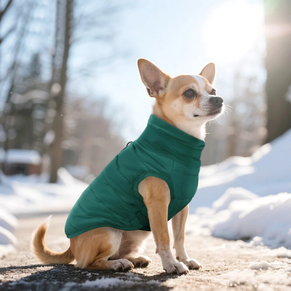 Warm Dog Clothes Thick Cotton Pet Clothing Soft Fur Padded Winter Dog Coat Jacket Clothes For Small Medium Dogs Cats Chihuahua