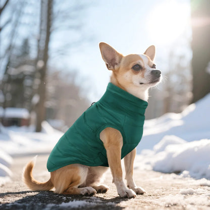 Warm Dog Clothes Thick Cotton Pet Clothing Soft Fur Padded Winter Dog Coat Jacket Clothes For Small Medium Dogs Cats Chihuahua