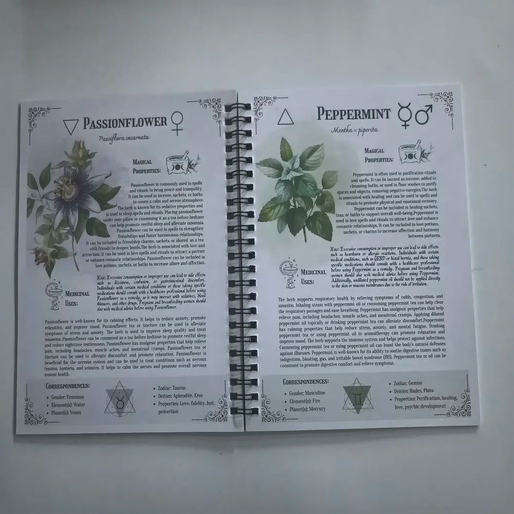 The Amish Natural Family Herbs Handbook The Characteristics And Effects Of Various Herbs Note Book