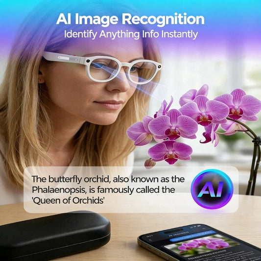 Lenovo AI Smart Glasses AI Translation 8MP HD Camera 4K Shooting Image Conversation Recording Listening To Music Smart Glasses