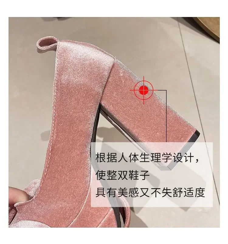 Platform Mary Janes Shoes Women Suede Luxury High Heel Lace Up Trend Lolita Shoes Elegant Chunky Party Pumps Zapatos De Mujer