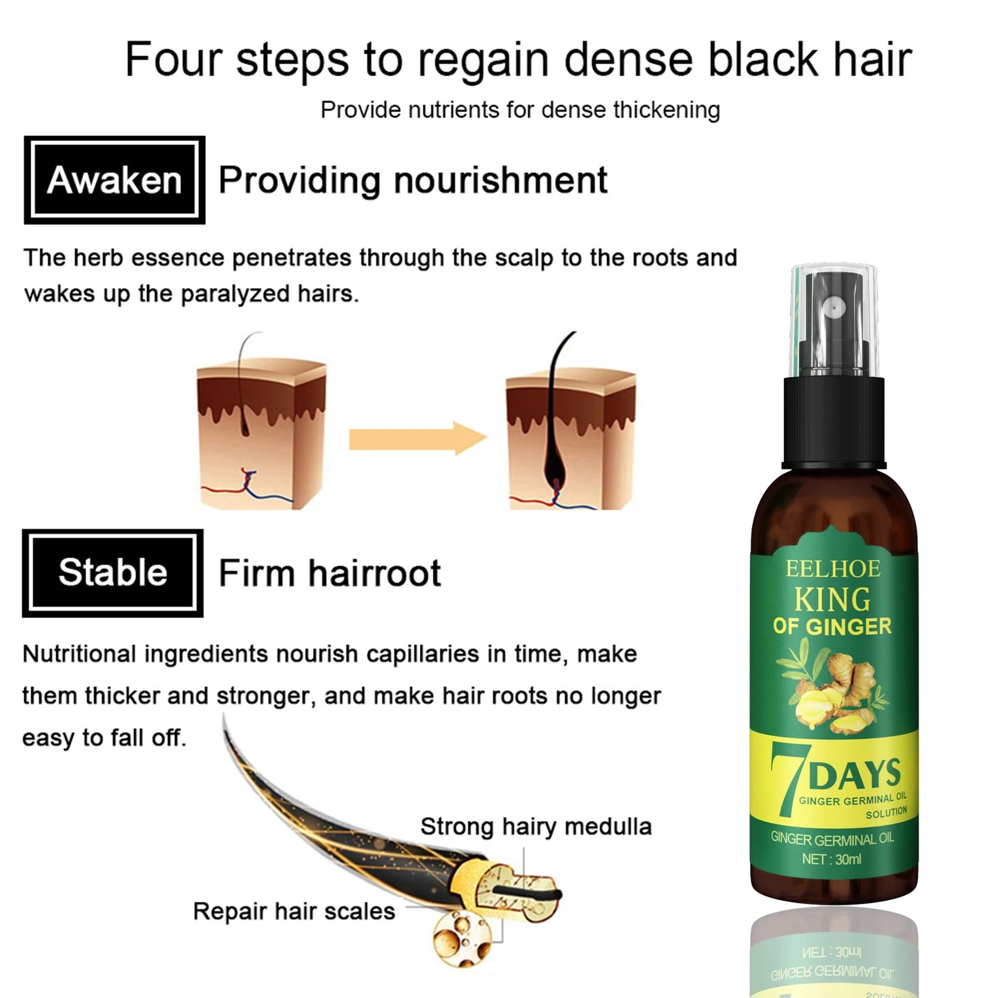 Ginger Oil Hair Booster Serum Spray Nourish Scalp Hair Follicles Refresh Control Oil Strengthen Hair Roots Nutrient Solution