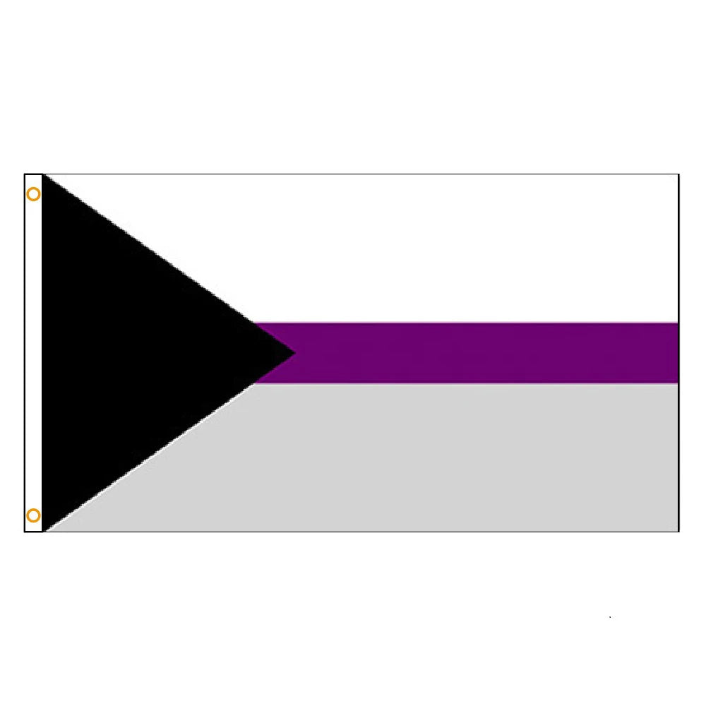 FLAGLINK 90x150cm Gay Pride Demi-asexual Flag LGBT For Decoration