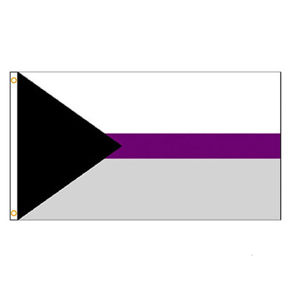 FLAGLINK 90x150cm Gay Pride Demi-asexual Flag LGBT For Decoration