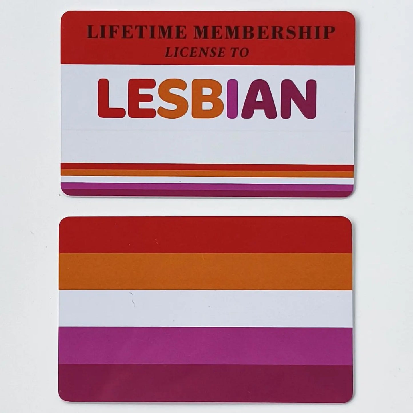 Writable LGBTQIA Identity Card LGBT Pride Cards Lifetime Membership Card perfect rainbow community gift