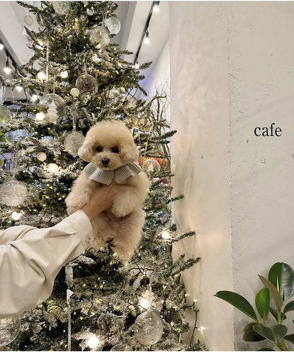 Luxury Pet Dog Cashmere Lotus Collar Knit Soft Wool Undercoat Cat Sweater Dog Clothes for Small Dogs Dog Winter Clothes Sweater