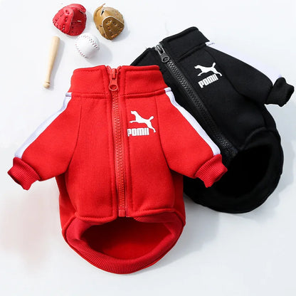 Manufacturer Customizes Pet Clothes for Autumn and Winter, Warm Trendy Brand Sweatshirts with Letters for Dogs and Cats, Small, Medium and Large Dog Supplies