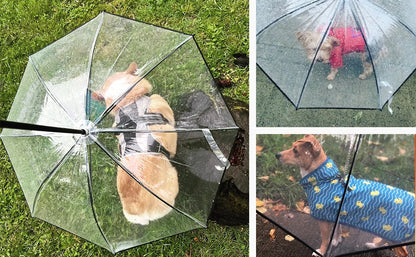 ATUBAN Dog Umbrella with Leash for Small Pets, Umbrella for Dogs Fits 20” Back Length Pets,J-Shape Handle,Clear Umbrella Surface