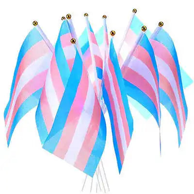 10 Pack Handheld Transgender Flag LGBT Trans Pride Banner 14x21cm With Small Stick Flagpole For Decoration Celebration Parades