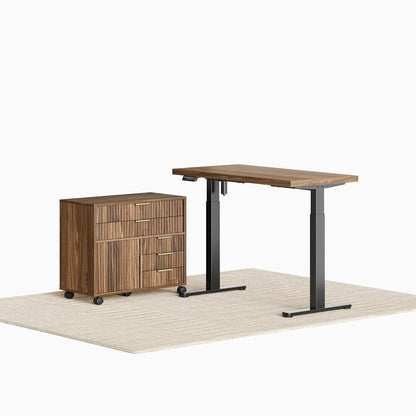 Home Office Furniture Set, 48 x 24 Electric Standing Desk and File Cabinet with 5 Drawes,1.18" Thickness, Customized
