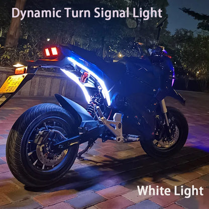 1 Pair Motorcycle Flowing Turn Signal Light Strip,Rear Tail Light Startup Scan, Flowing Signal Light,Modified Atmosphere Light