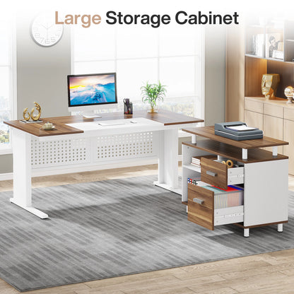 Tribesigns 63 Inch Executive Desk with File Cabinet, Large Office Desk L Shaped Computer Desk with Drawers and Storage Shelves