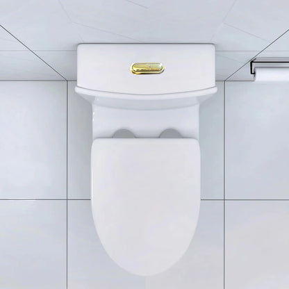 Matte Black Elongated One Piece Toilet Dual Flush 1.1/1.6 GPF Water Saving Map 1000g,Matte Black