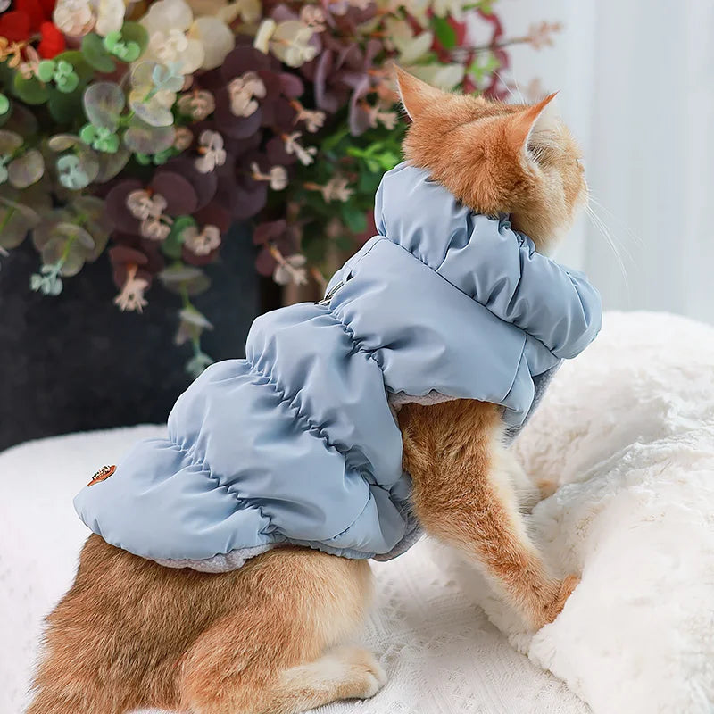 Orange Cat Down Jacket with Traction Buckle Winter Warm Pet Clothes for Cats Gotas Kitten Sphynx Coats Clothing vetement chat