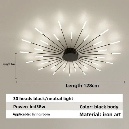 Nordic Ceiling Lighting for Living Room Bedroom Kitchen Led Ceiling Light Fixture Indoor Home Firework Decor Ceiling Lights