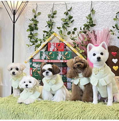 Luxury Pet Dog Cashmere Lotus Collar Knit Soft Wool Undercoat Cat Sweater Dog Clothes for Small Dogs Dog Winter Clothes Sweater