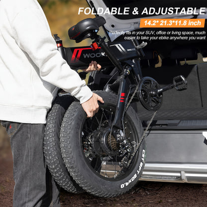Wooken 20''X 4.0 Fat Tire Electric Bike, 749W Peak Strong Power Electric Bicycle With 48V 10Ah Battery, Professional 7 Speed EBike, Updated LCD Display Electric Dirt Bike, Shock Absorber, Ebike For Mountain Beach Snow