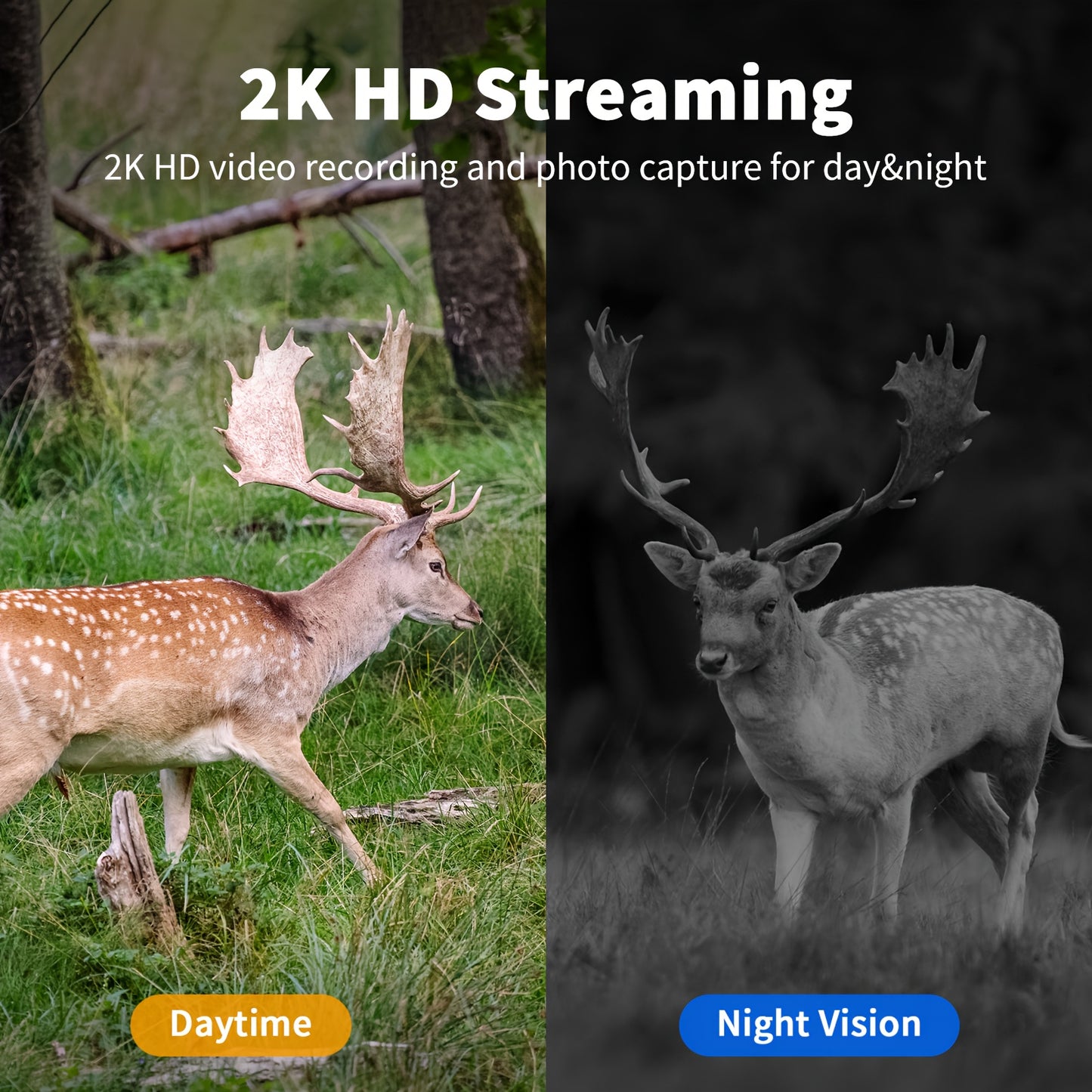4pcs 4G LTE Hunting & Security System with 0.2s Instant Trigger, 2K Live View/Real-Time Alerts, Built-in SIM (7-Day Free Data), Waterproof Outdoor Trail Cameras, App Control, Pan/Tilt, Night Vision & Two-Way Audio