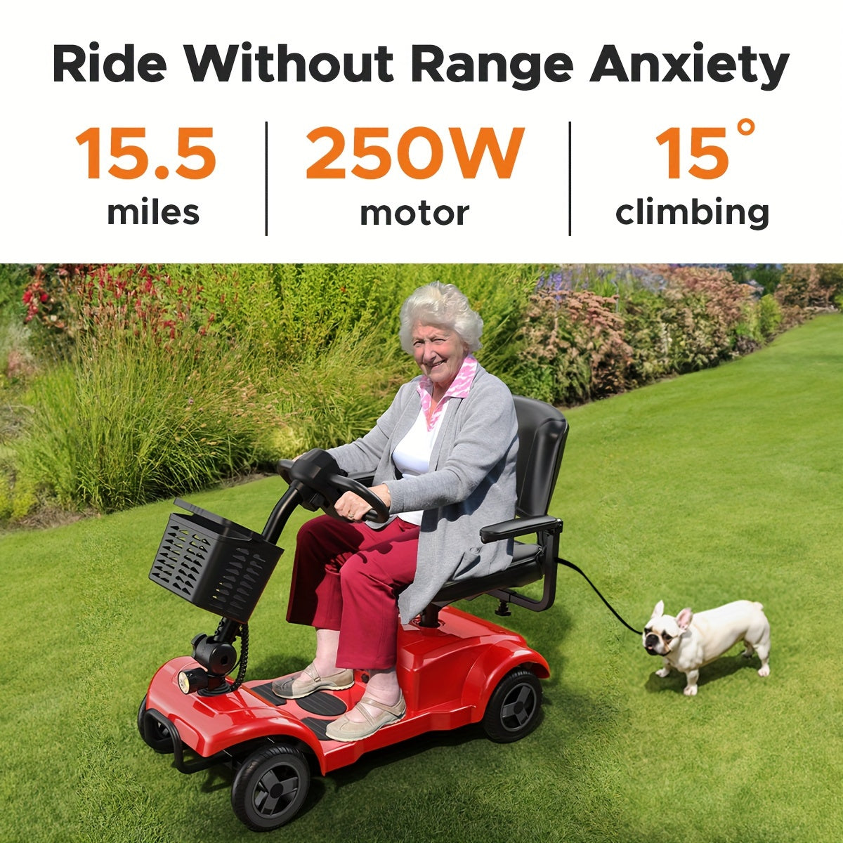 ENGWE Folding 4-Wheel Mobility Scooter, 250W Motor, 24V 12Ah Battery, 15.5-Mile Range, 8" Solid Tires, 265 lbs Capacity, Detachable Basket, Front Light, Compact & Portable for Travel, Shopping, Perfect Gift for Mom's Special