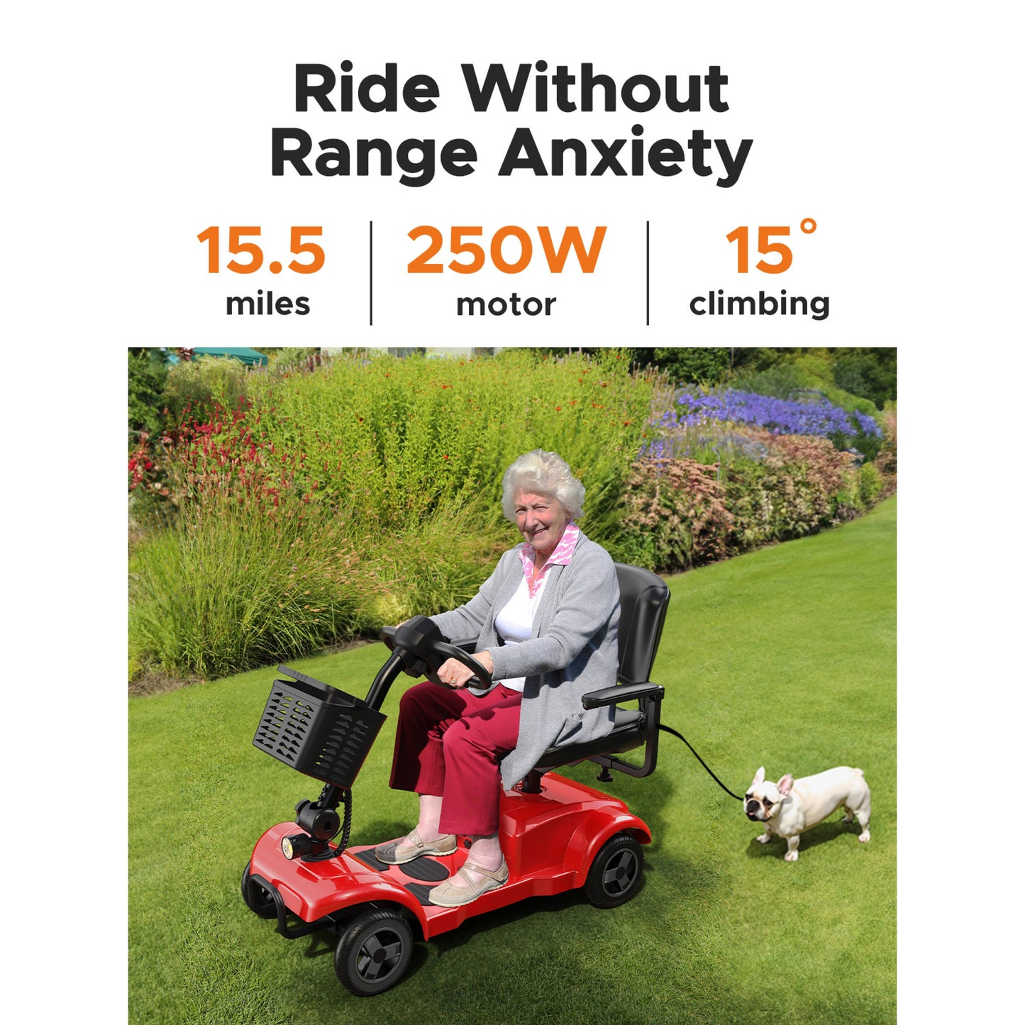 ENGWE Folding 4-Wheel Mobility Scooter, 250W Motor, 24V 12Ah Battery, 15.5-Mile Range, 8" Solid Tires, 265 lbs Capacity, Detachable Basket, Front Light, Compact & Portable for Travel, Shopping, Perfect Gift for Mom's Special