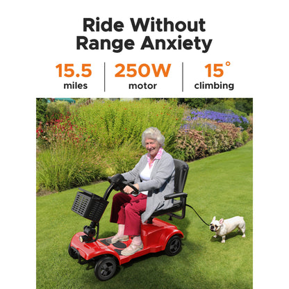 ENGWE Folding 4-Wheel Mobility Scooter, 250W Motor, 24V 12Ah Battery, 15.5-Mile Range, 8" Solid Tires, 265 lbs Capacity, Detachable Basket, Front Light, Compact & Portable for Travel, Shopping, Perfect Gift for Mom's Special