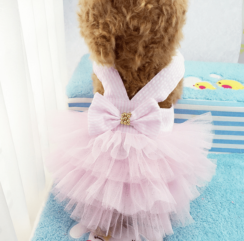 Cute Dog Dress with Mesh Design